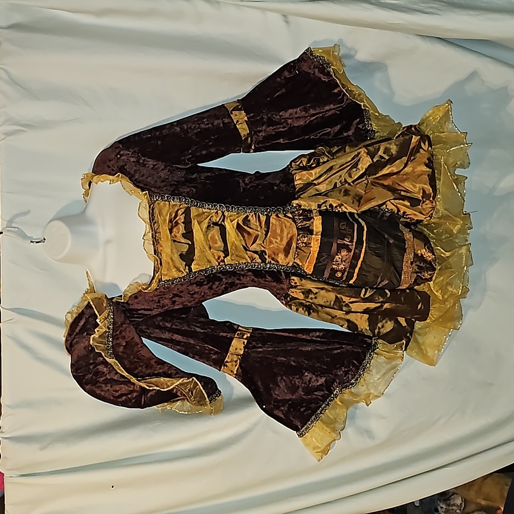 Fun World Sassy Pirate adult costume